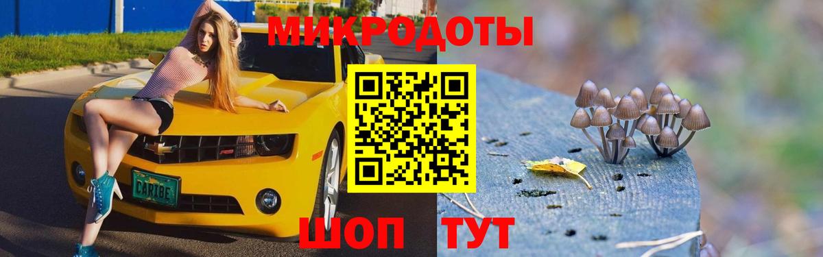 Соль-Илецк  Псилоцибиновые грибы GOLDEN TEACHER  Псилоцибиновые грибы ЛСД  Вход с VPN 